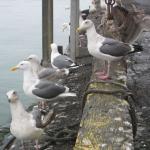 Los Angeles 2006 306.jpg