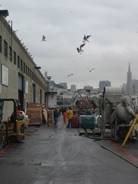 Los Angeles 2006 307.jpg