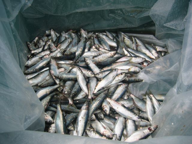 Los Angeles 2006 314.jpg