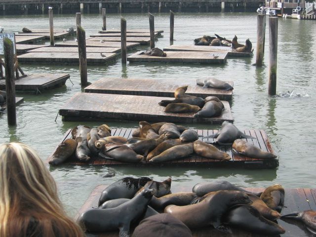 Los Angeles 2006 336.jpg