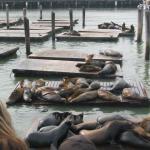 Los Angeles 2006 336.jpg