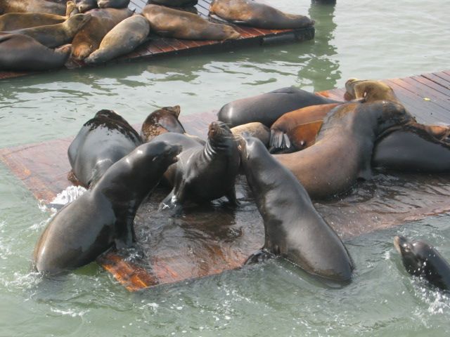 Los Angeles 2006 337.jpg