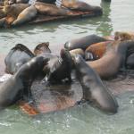 Los Angeles 2006 337.jpg