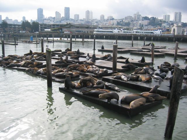 Los Angeles 2006 338.jpg