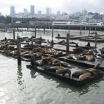 Los Angeles 2006 338.jpg