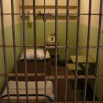 Los Angeles 2006 351.jpg