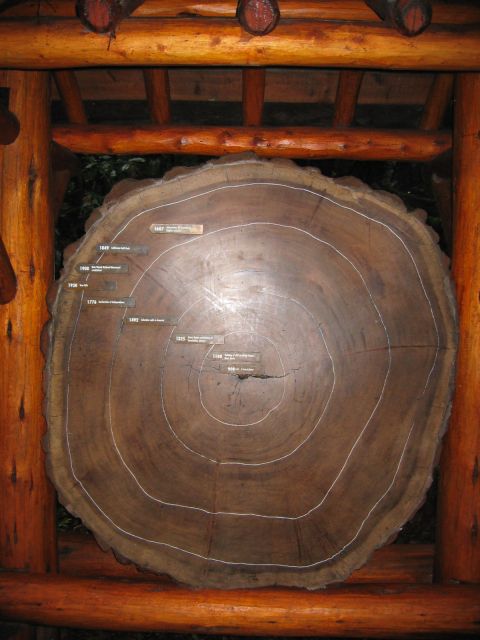 Los Angeles 2006 413.jpg