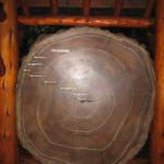 Los Angeles 2006 413.jpg