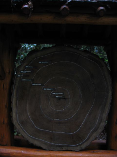 Los Angeles 2006 414.jpg