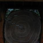 Los Angeles 2006 414.jpg