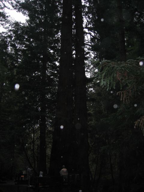 Los Angeles 2006 415.jpg