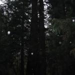 Los Angeles 2006 415.jpg