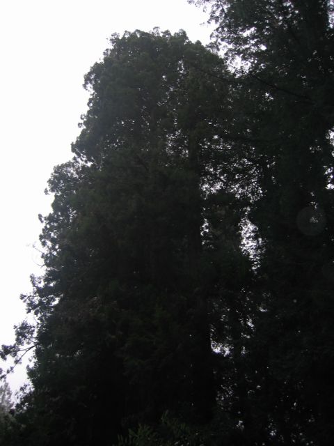 Los Angeles 2006 416.jpg