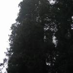 Los Angeles 2006 416.jpg