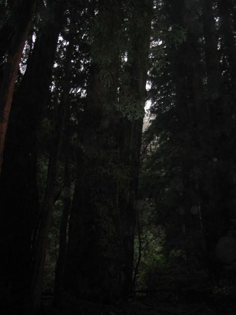 Los Angeles 2006 417.jpg