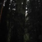 Los Angeles 2006 417.jpg