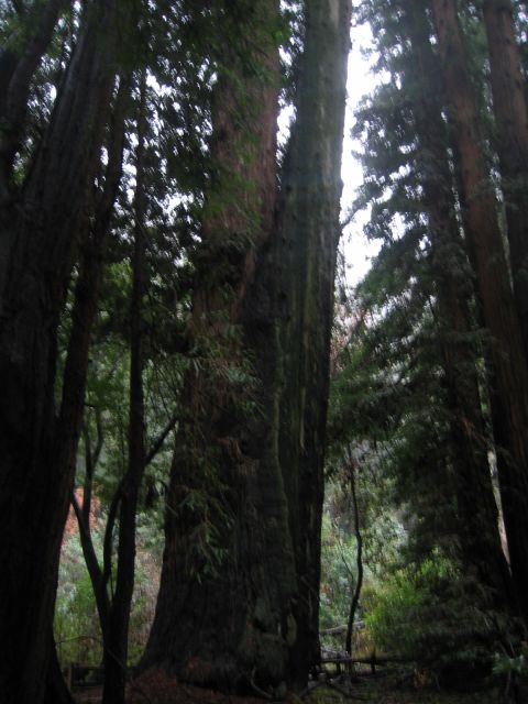 Los Angeles 2006 418.jpg