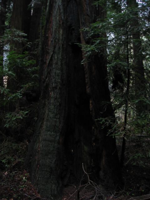 Los Angeles 2006 419.jpg