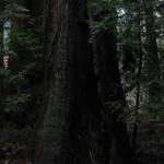 Los Angeles 2006 419.jpg