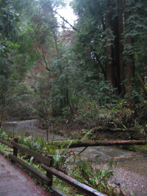 Los Angeles 2006 421.jpg