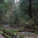 Los Angeles 2006 421.jpg