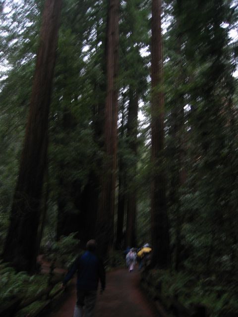 Los Angeles 2006 422.jpg