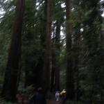 Los Angeles 2006 422.jpg