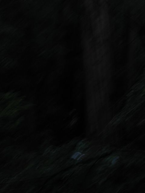 Los Angeles 2006 424.jpg