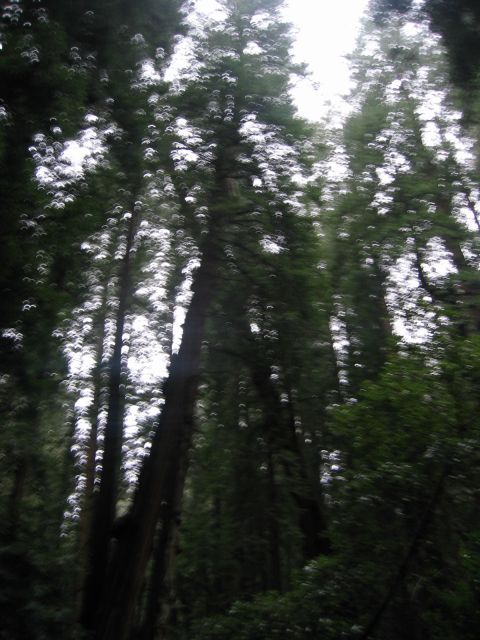 Los Angeles 2006 425.jpg