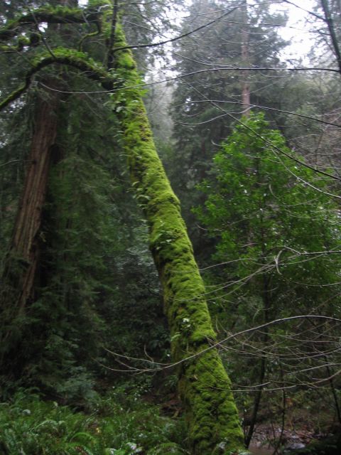 Los Angeles 2006 426.jpg