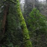 Los Angeles 2006 426.jpg