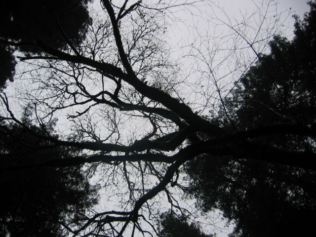 Los Angeles 2006 427.jpg