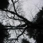 Los Angeles 2006 427.jpg