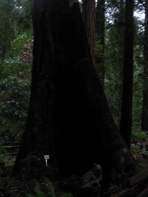 Los Angeles 2006 432.jpg