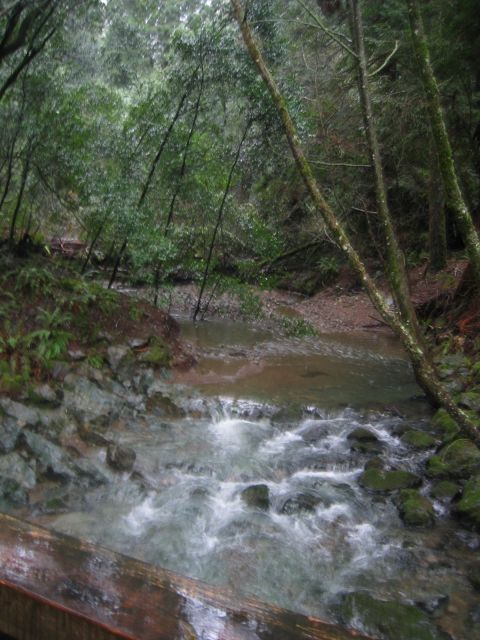 Los Angeles 2006 433.jpg