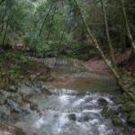 Los Angeles 2006 433.jpg