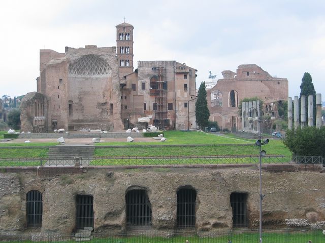 IMG_6428.JPG