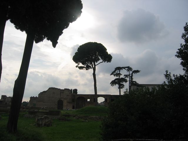 IMG_6439.JPG