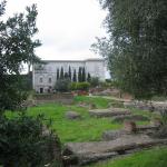 IMG_6441.JPG