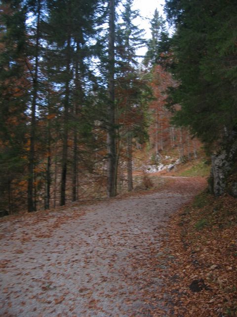 IMG_6401.JPG