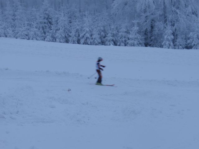 P1310677.jpg