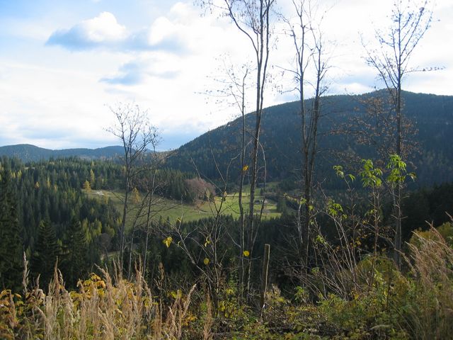 IMG_6402.JPG