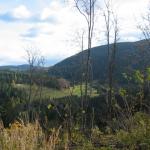 IMG_6402.JPG