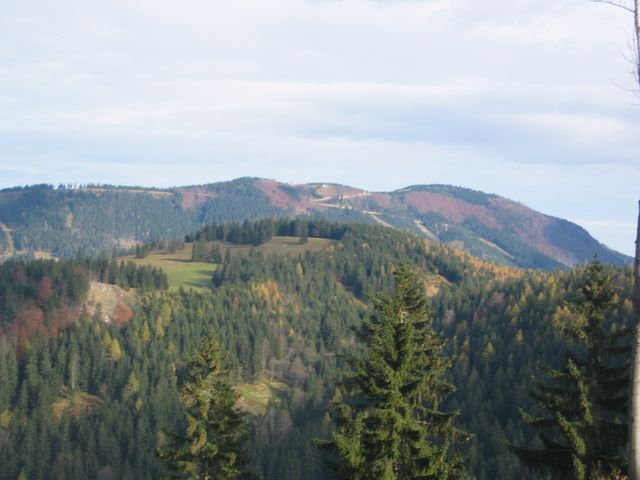 IMG_6403.JPG
