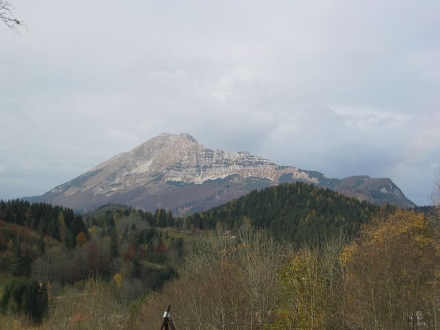 IMG_6405.JPG