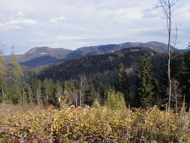P1010010.JPG