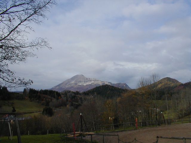 P1010012.JPG