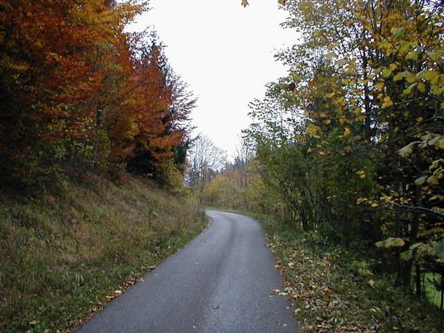 P1010021.JPG