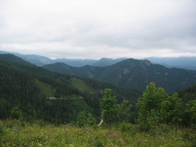 161_6197.jpg