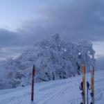 Impressionen